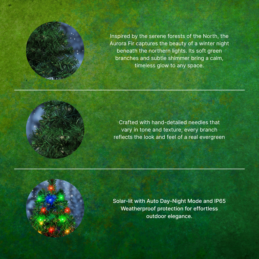 Lunaris Aurora Fir